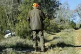 Δυτική Αχαΐα: Στο «στόχαστρο» και το κυνήγι - Ζητείται απαγόρευση λόγω της ευλογιάς των προβάτων