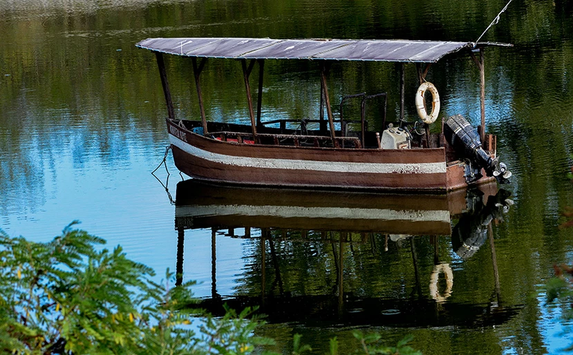 Πίνακας ζωγραφικής η λίμνη Κερκίνη το φθινόπωρο - ΦΩΤΟ