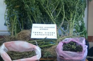 Αιτωλοακαρνανία: Συνελήφθη καλλιεργητής ναρκωτικών - Εκριζώθηκαν δενδρύλλια και κατασχέθηκαν ουσίες
