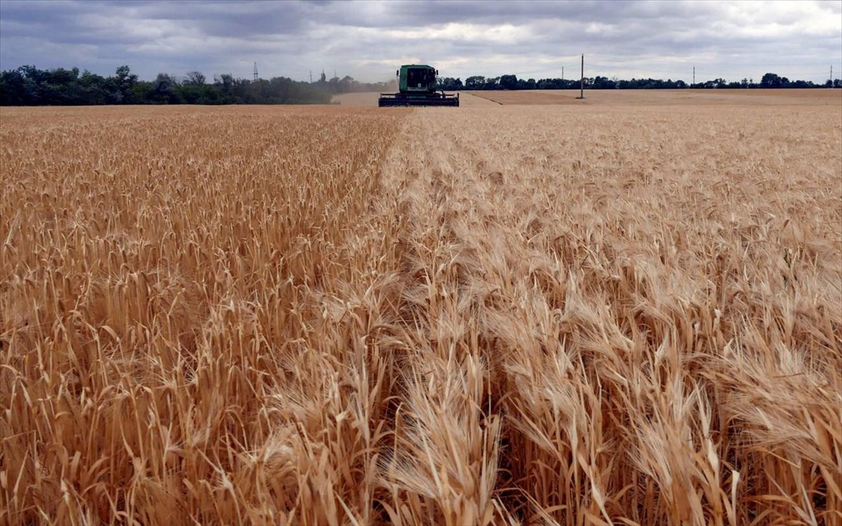 EU: Plans to impose tariffs on grain imports from Russia
 – 2024-03-22 00:39:08