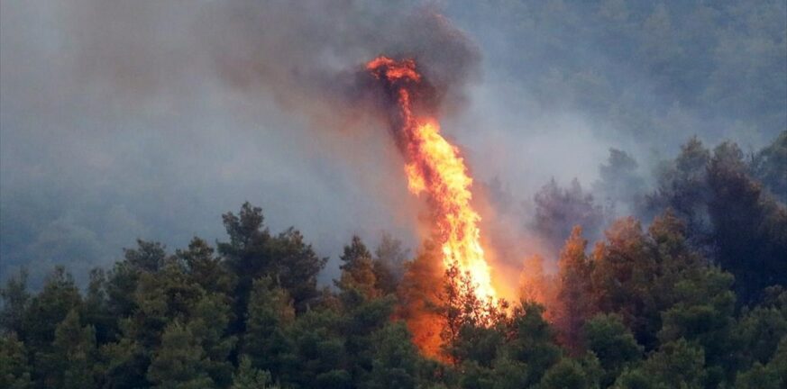 Φθιώτιδα: Μαίνεται η φωτιά σε δασική έκταση - Ρίψεις νερού από δύο αεροσκάφη - Πνέουν δυνατοί άνεμοι στο σημείο