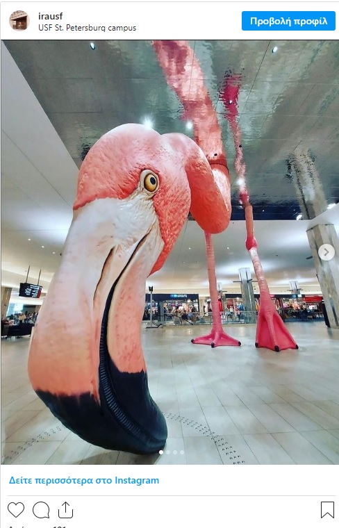 Φλόριντα: Ένα τεράστιο φλαμίνγκο καλωσορίζει τους επιβάτες του αεροδρομίου Τάμπα