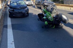 Θεσσαλονίκη: Αυτοκίνητο συγκρούστηκε με γουρούνα - Δυο τραυματίες