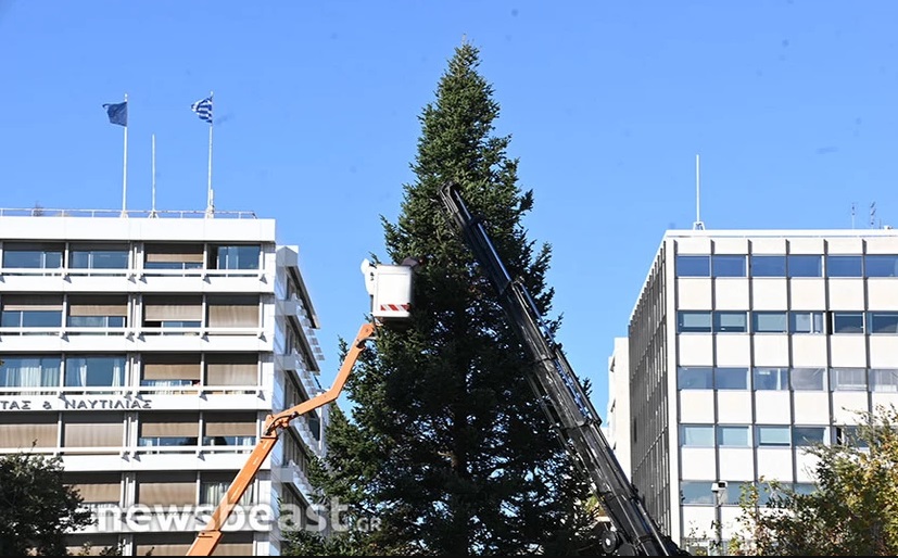 Σύνταγμα: Η Αθήνα στολίζεται - Έφτασε το φετινό χριστουγεννιάτικο δέντρο ύψους 21 μ. - ΒΙΝΤΕΟ ΦΩΤΟ