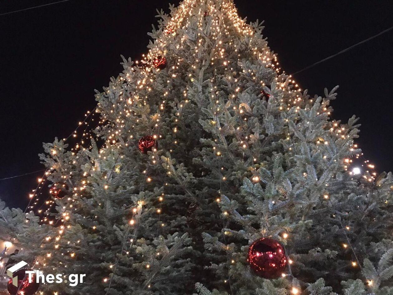 Φωταγωγήθηκε το πρώτο χριστουγεννιάτικο δέντρο στην Ελλάδα - Δείτε που ΦΩΤΟ - ΒΙΝΤΕΟ