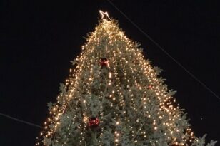 Φωταγωγήθηκε το πρώτο χριστουγεννιάτικο δέντρο στην Ελλάδα - Δείτε που ΦΩΤΟ - ΒΙΝΤΕΟ