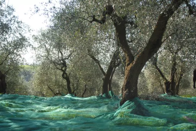 Κωνσταντινούπολη