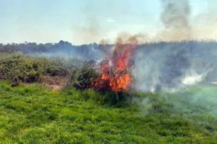 Πρόστιμο για πυρκαγιά μετά από καύση ξερών χόρτων στη Σαμαρίνα Γρεβενών