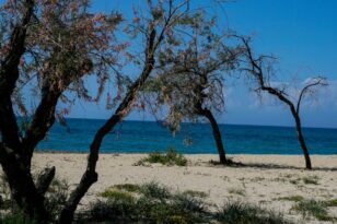 Κυπαρισσία: Βρέθηκε θαμμένο σε παραλία στην άμμο... πτώμα