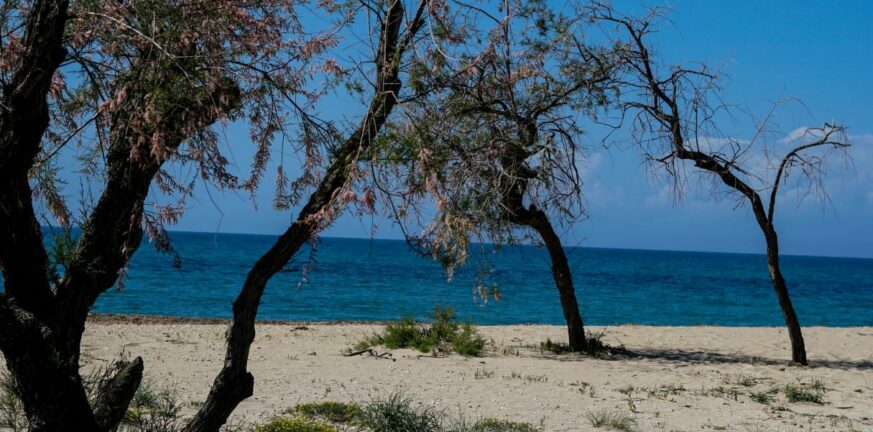 Κυπαρισσία: Βρέθηκε θαμμένο σε παραλία στην άμμο... πτώμα