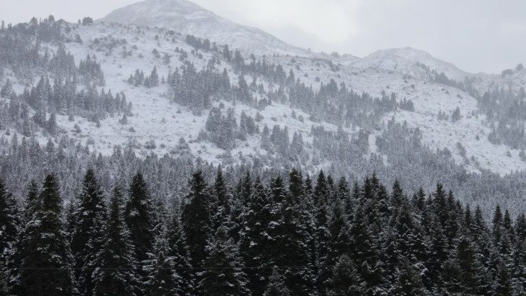 Τρίκαλα: «Έπεσε» το πρώτο χιόνι στα Τρίκαλα  ΦΩΤΟ - ΒΙΝΤΕΟ