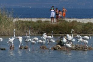 Αίγιο: Με νέους όρους το έργο στη λιμνοθάλασσα Αλυκής - Ποιες προμήθειες απομένουν