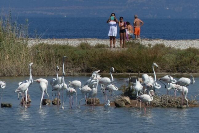 Κυνηγετική