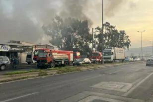 Θεσσαλονίκη: Φωτιά σε ξερά χόρτα κοντά στα διόδια Μαλγάρων ΦΩΤΟ - ΒΙΝΤΕΟ