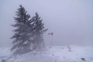Καναδάς - Σφοδρή χιονοθύελλα: 53 τραυματίες από τροχαίο με λεωφορείο