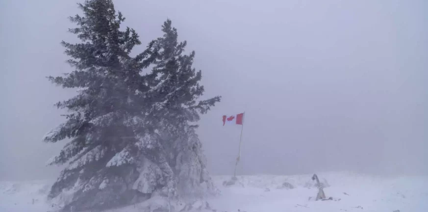 Καναδάς - Σφοδρή χιονοθύελλα: 53 τραυματίες από τροχαίο με λεωφορείο