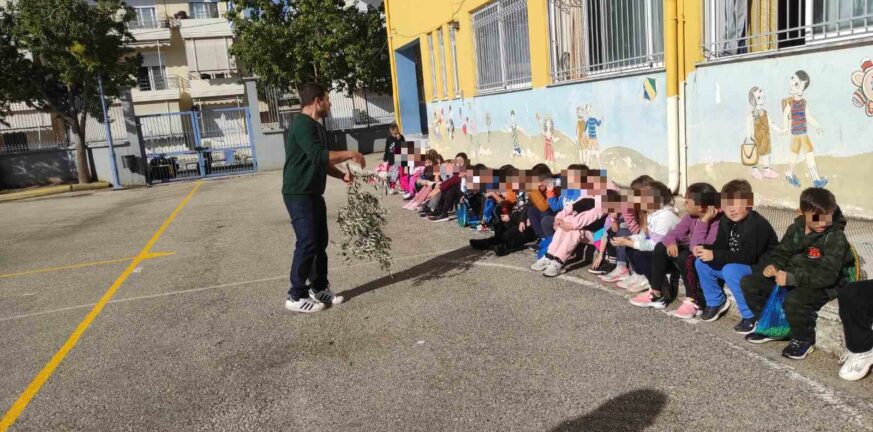 «Το δέντρο της ελιάς»: Πρόγραμμα δράσης από το Πάρκο Εκπαιδευτικών Δράσεων του Δήμου Πατρέων και τον ΚΟΔΗΠ