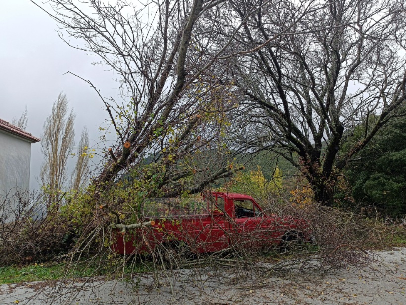 Κακοκαιρία GAIA: Πτώσεις δέντρων στη Λέσβο - Βγήκε η θάλασσα στον δρόμο στην Ηγουμενίτσα