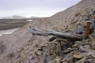 Γροιλανδία: Εντοπίστηκε το αρχαιότερο DNA του πλανήτη - Έχει ηλικία πάνω από 2 εκατομμύρια έτη