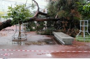 Θεσσαλονίκη: Διακοπές ρεύματος και πτώσεις δέντρων από την κακοκαιρία Ariel