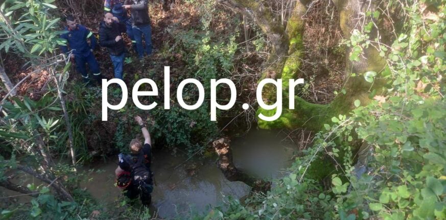 Αχαΐα: Τι λέει η Πυροσβεστική για το θάνατο του 59χρονου Αντώνη Σωτηρόπουλου που βρέθηκε νεκρός στις Βελιτσές