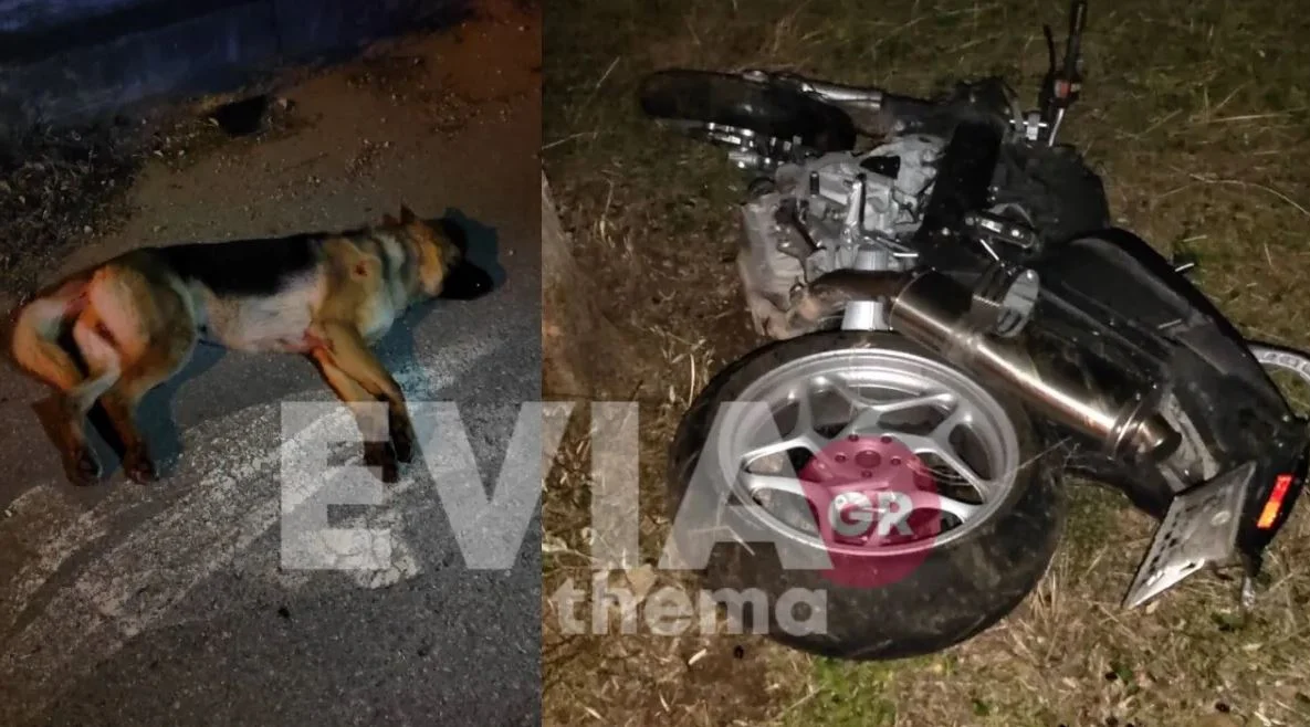 Τροχαίο στα Ψαχνά: Νεκρός 47χρονος - Προσπάθησε να αποφύγει σκύλο ΦΩΤΟ