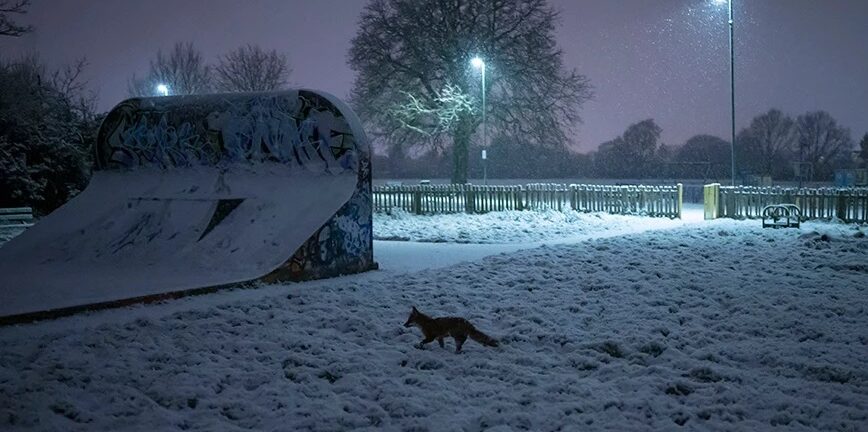 Βρετανία: Χιονισμένο τοπίο το Λονδίνο - ΒΙΝΤΕΟ