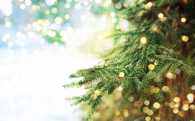 Χριστουγεννιάτικο δέντρο: Δύο κόλπα για να το κάνετε να φαίνεται πιο γεμάτο - ΦΩΤΟ
