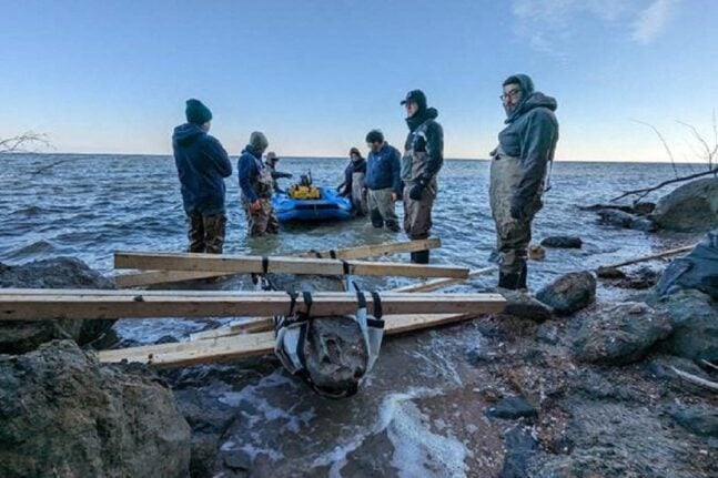 ΗΠΑ: Ανακαλύφθηκε απολιθωμένο κρανίο φάλαινας 12 εκατομμυρίων ετών