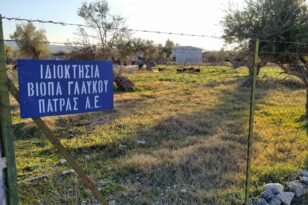 Πάτρα: Προχωρά το αποτεφρωτήριο - Ο Δήμος παραγγέλνει μελέτη και αναζητά χρηματοδότηση