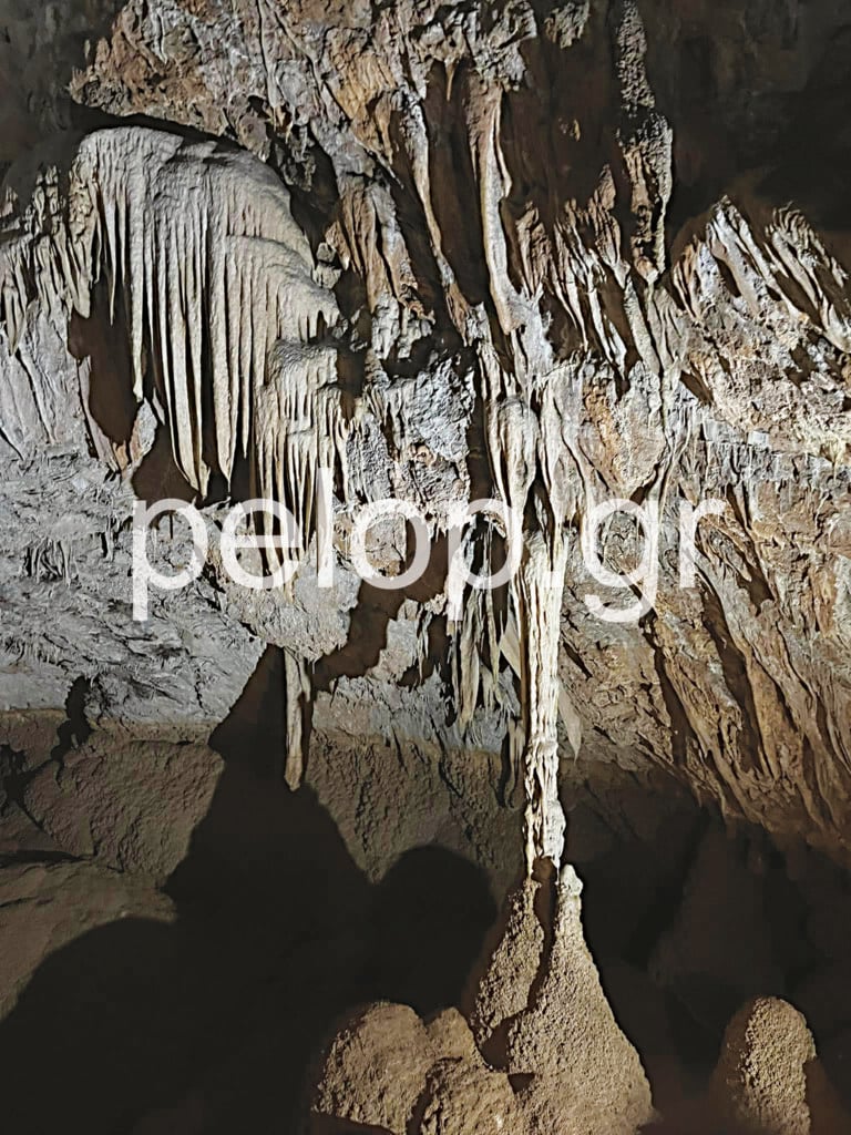 Καλάβρυτα, Σπήλαιο Λιμνών, νυχτερίδες