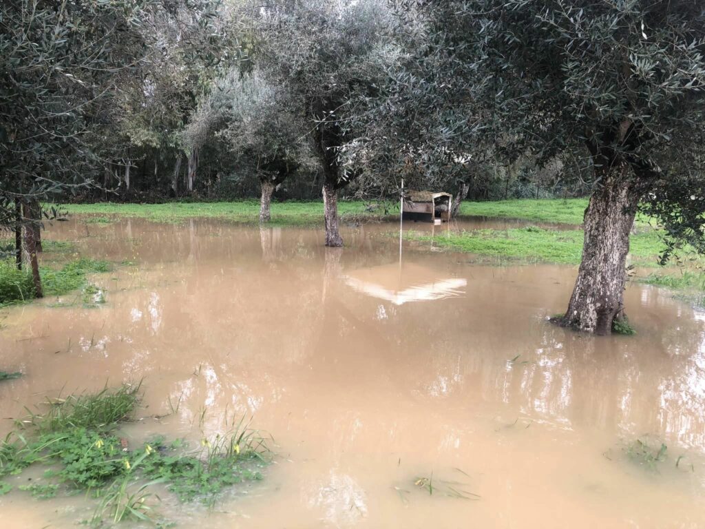 Κακοκαιρία: Πλημμυρικά φαινόμενα στην Αχαΐα ΦΩΤΟ - ΒΙΝΤΕΟ