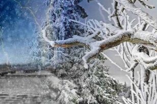 Ορεινή Ναυπακτία: Έπεσαν τα πρώτα χιόνια στην Άνω Χώρα - ΒΙΝΤΕΟ