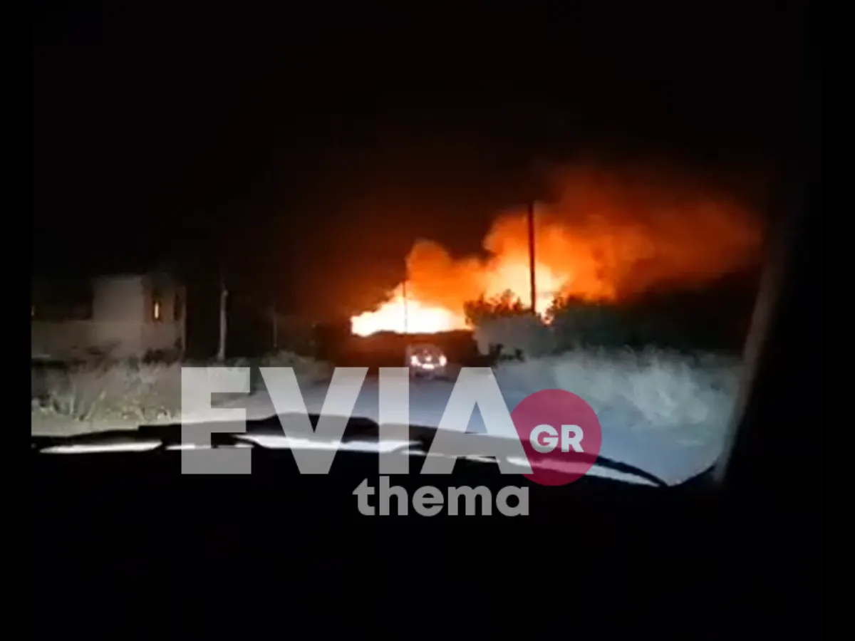 ΝΕΟΤΕΡΑ- Εύβοια: Ανεξέλεγκτη η φωτιά στα Ψαχνά ΦΩΤΟ - ΒΙΝΤΕΟ
