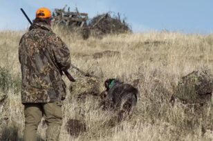 ΗΠΑ: Σκύλος πυροβόλησε και σκότωσε κυνηγό - Τι συνέβη