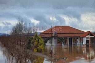 Ελληνικός Ερυθρός Σταυρός Πάτρας: Συγκέντρωση χρημάτων και τροφίμων για τους πλημμυροπαθείς