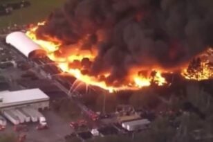 ΗΠΑ: Ξέσπασε μεγάλη πυρκαγιά σε φυτώριο