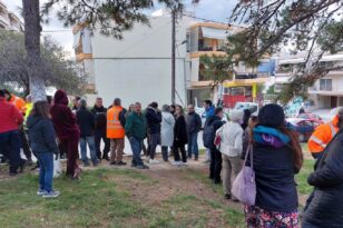 Ηράκλειο: Πολίτες προσπαθούν να σώσουν «πευκώνα» - Σταμάτησαν προσωρινά την κοπή και απομάκρυνση 68 πεύκων