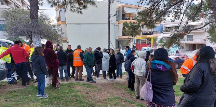 Ηράκλειο: Πολίτες προσπαθούν να σώσουν «πευκώνα» - Σταμάτησαν προσωρινά την κοπή και απομάκρυνση 68 πεύκων