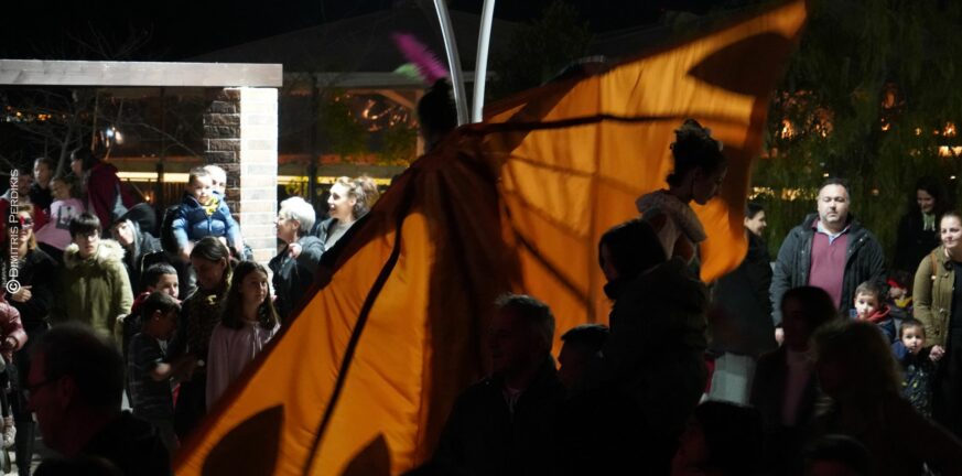 Αιγιάλεια: Πρωταγωνιστεί και στο Καρναβάλι - Παρελάσεις σε Αίγιο, Αιγείρα και Διακοπτό - ΦΩΤΟ
