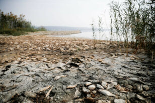 Κλιματική αλλαγή: Άνοδος θάλασσας, πυρκαγιές και καύσωνες απειλούν την Δυτική Ελλάδα - Πόσο εκτεθειμένη είναι