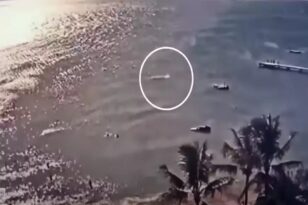 Νέα Καληδονία: 59χρονος τουρίστας σκοτώθηκε μετά από επίθεση καρχαρία κοντά στην ακτή