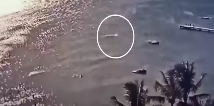 Νέα Καληδονία: 59χρονος τουρίστας σκοτώθηκε μετά από επίθεση καρχαρία κοντά στην ακτή