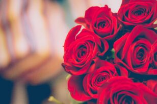 Θεσσαλονίκη: Χαμός με τα κόκκινα τριαντάφυλλα για την ημέρα του Αγ.Βαλεντίνου - Περισσότερα από 30.000 αναμένεται να πουληθούν