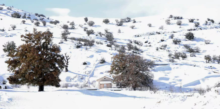Εντυπωσιακές οι εικόνες με τον χιονισμένο Ψηλορείτη ΒΙΝΤΕΟ