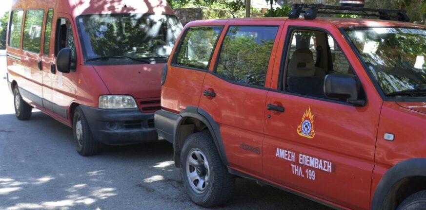 Kινητοποίηση της Πυροσβεστικής για φωτιά στην Αιγείρα