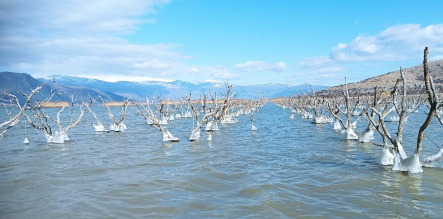 Φλώρινα: H λίμνη Βεγορίτιδα που μπορείς να... ψαρέψεις ροδάκινα! ΦΩΤΟ