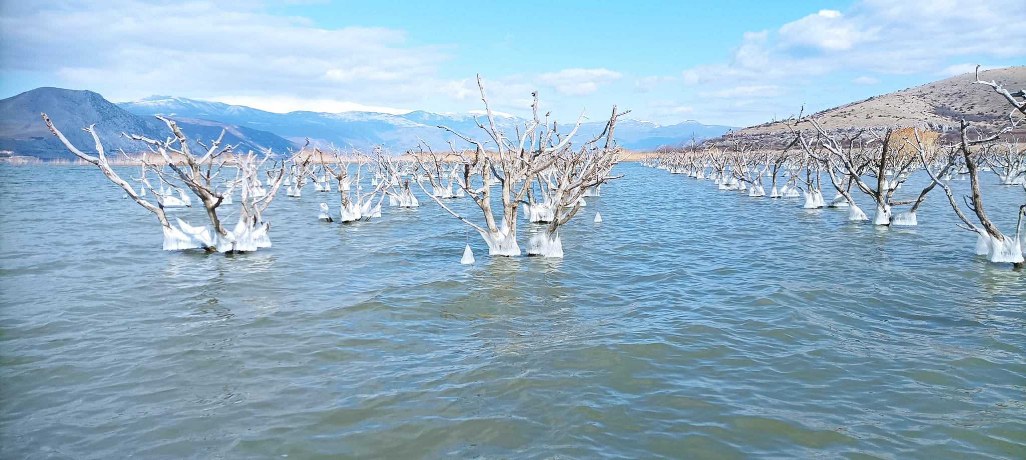 Φλώρινα: H λίμνη Βεγορίτιδα που μπορείς να... ψαρέψεις ροδάκινα! ΦΩΤΟ