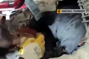 Σεισμός στην Τουρκία: Η μικρή Ελένη διασώθηκε μετά από 68 ώρες στα ερείπια της Χατάι – BINTEO