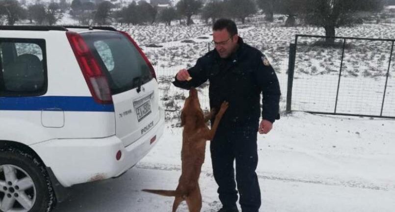 Αστυνομικοί σωτήρες για σκύλο «θύμα» χιονοθύελλας στην Αχαΐα